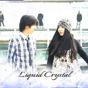 Liquid Crystal
